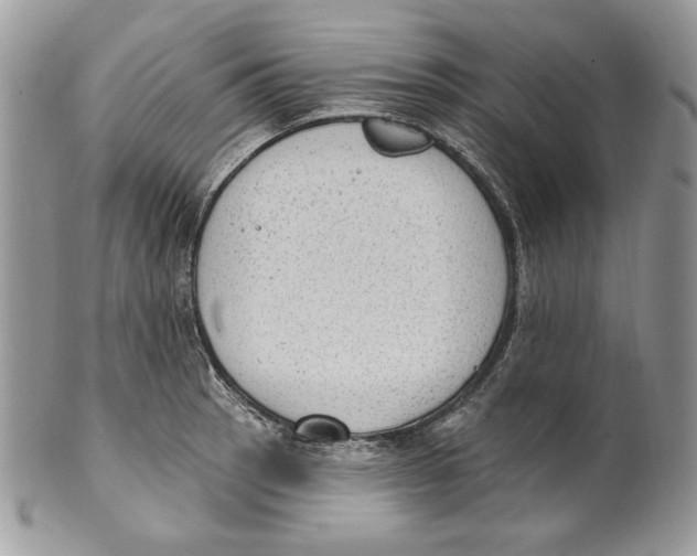 X0000101151137200807251042