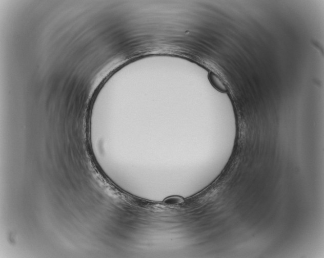 X0000101151138200807251042