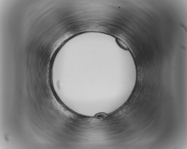 X0000101151139200807251042