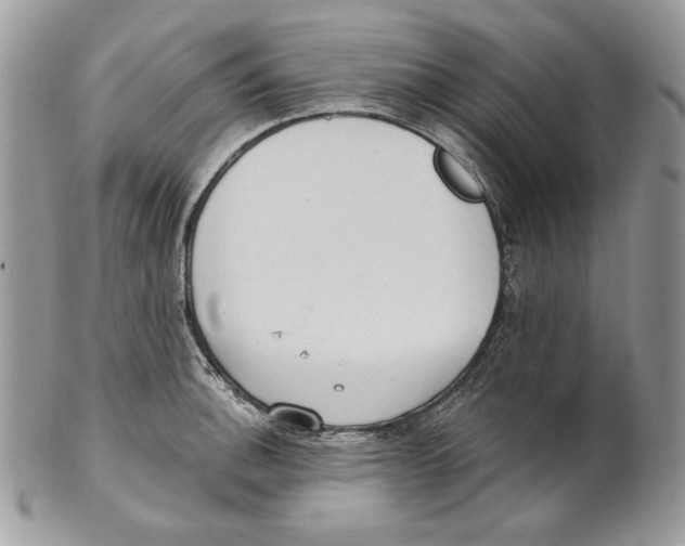 X0000101151140200807251042