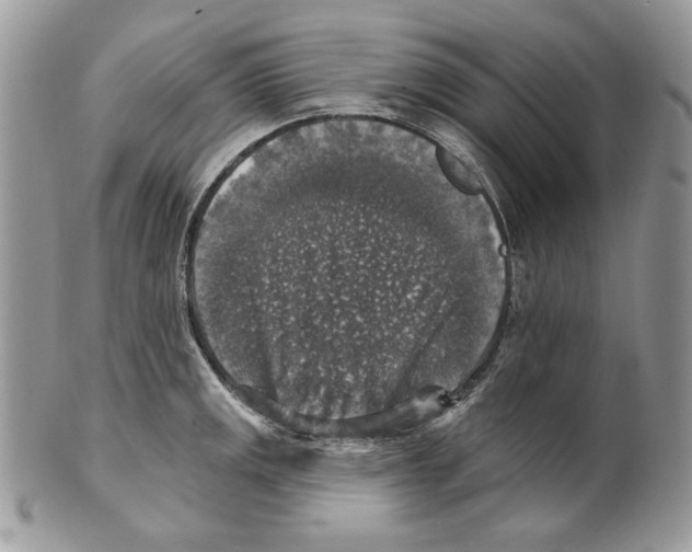 X0000101151141200807251042