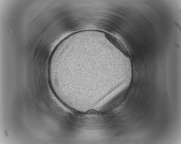 X0000101151142200807251042