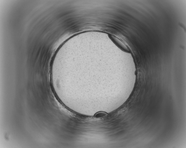 X0000101151143200807251042