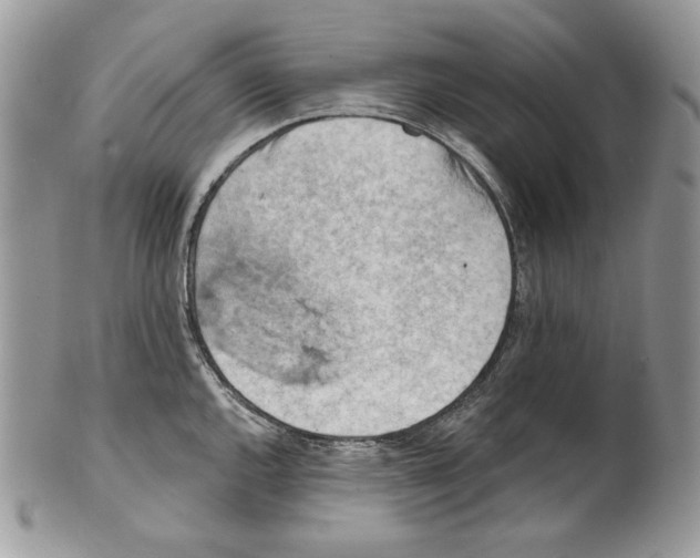 X0000101151144200807251042