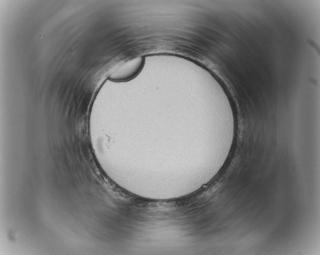 X0000101151145200807251042