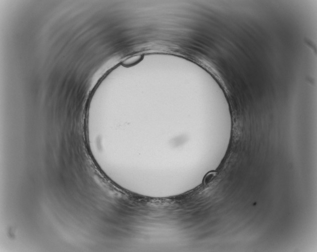 X0000101151146200807251042