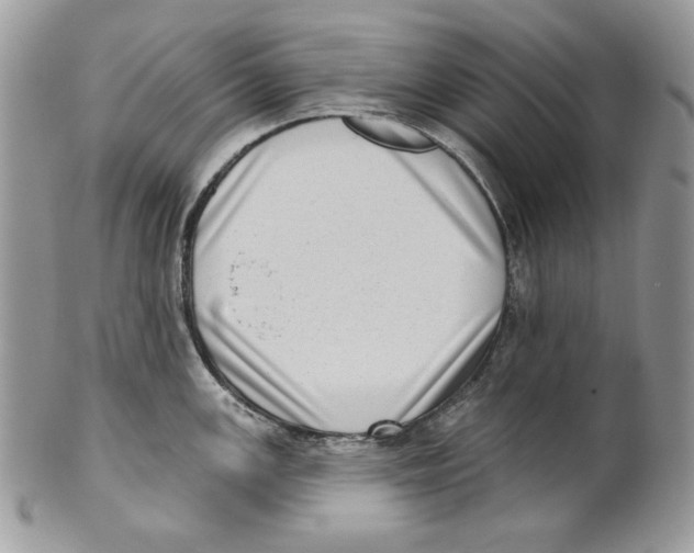 X0000101151147200807251042