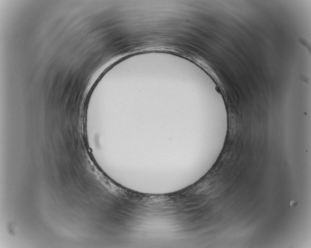 X0000101151148200807251042