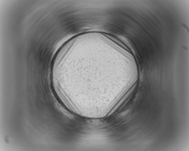 X0000101151149200807251042