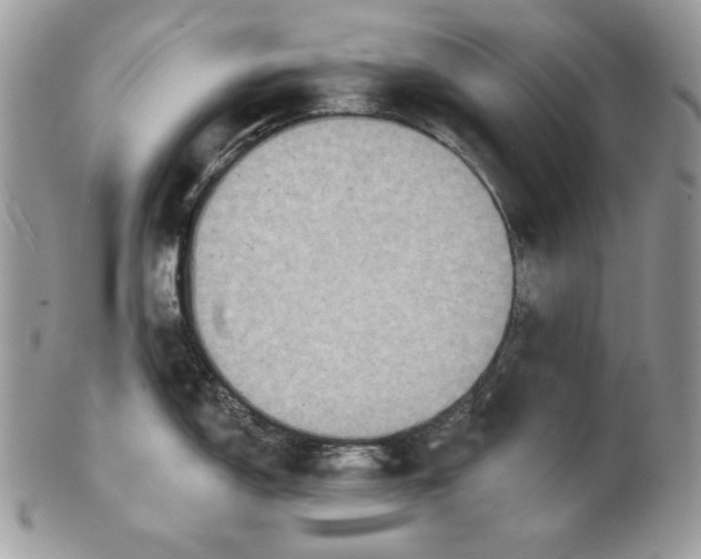 X0000101151150200807251042