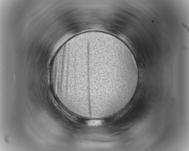 X0000101151151200807251042