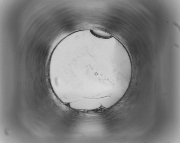 X0000101151152200807251042