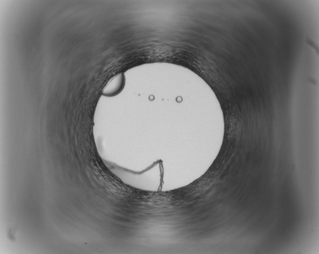 X0000101151153200807251042