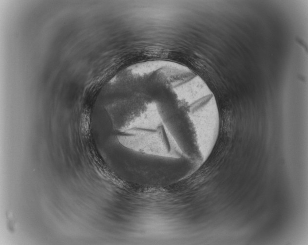 X0000101151154200807251041