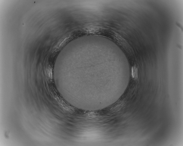 X0000101151155200807251041