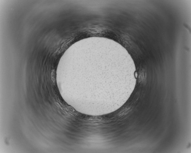 X0000101151156200807251041