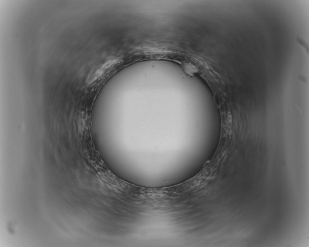 X0000101151157200807251041