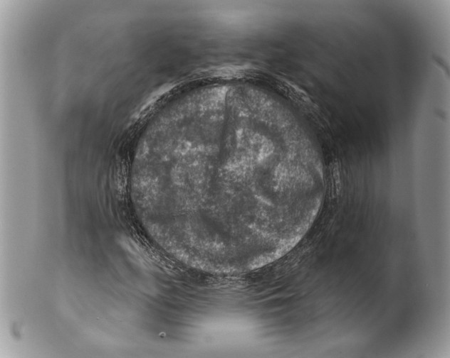 X0000101151158200807251041