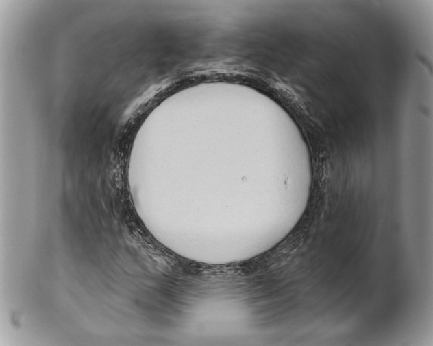 X0000101151159200807251041