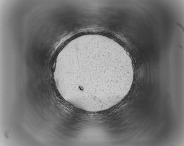 X0000101151160200807251041