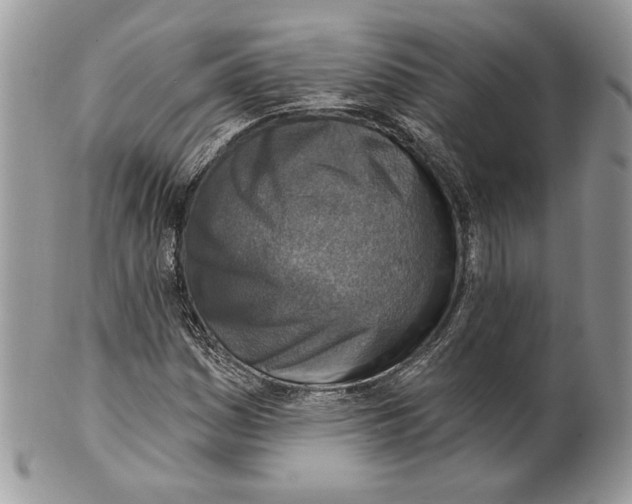 X0000101151161200807251041