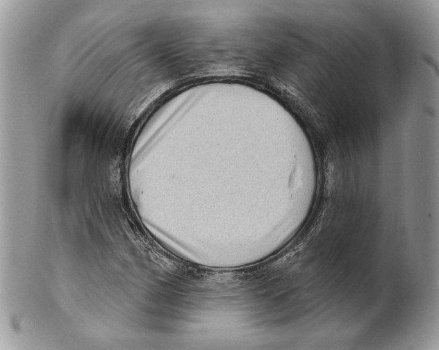 X0000101151162200807251041
