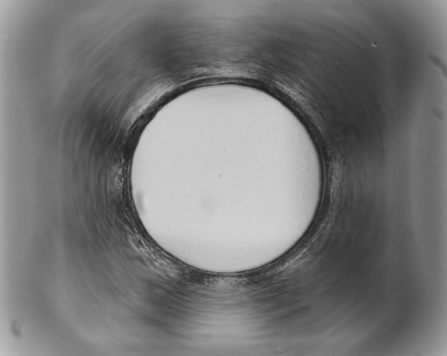 X0000101151163200807251041