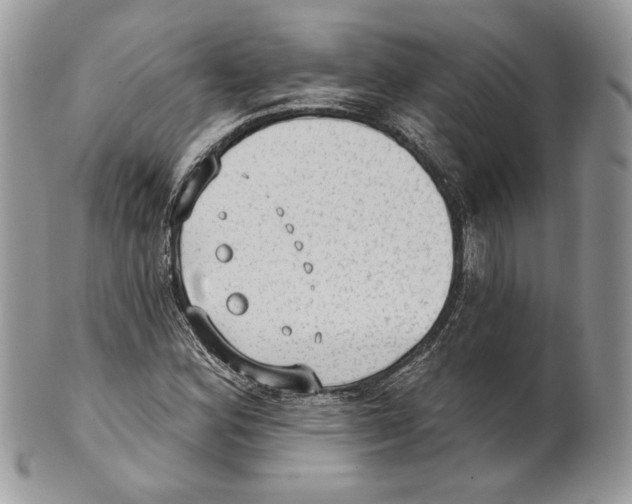 X0000101151164200807251041