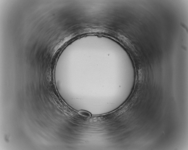 X0000101151165200807251041