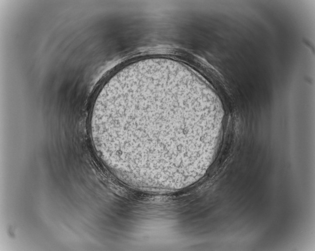 X0000101151166200807251041