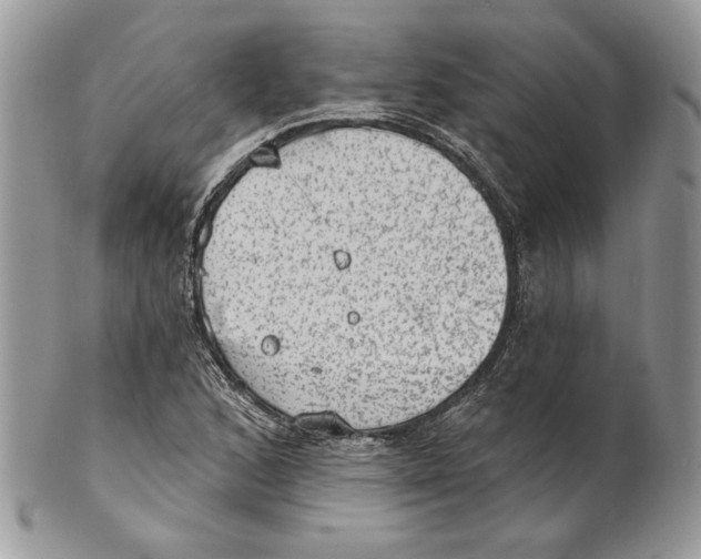 X0000101151168200807251041
