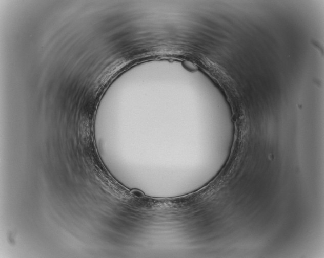 X0000101151169200807251041