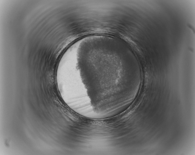 X0000101151170200807251041