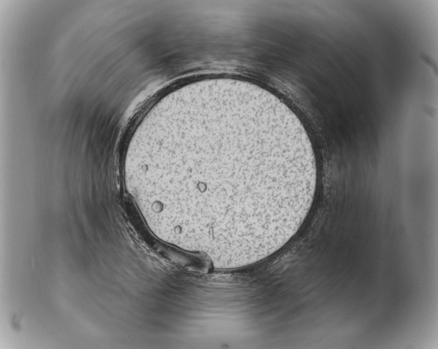 X0000101151172200807251041