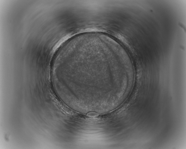 X0000101151173200807251041