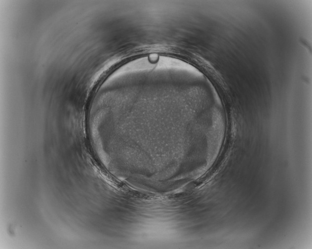 X0000101151174200807251041