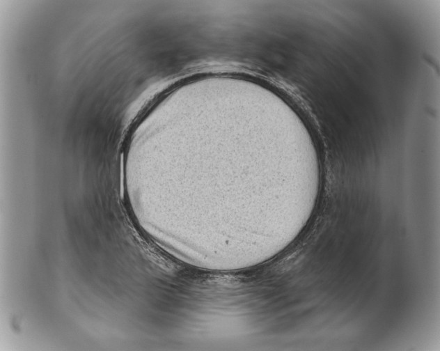 X0000101151175200807251041