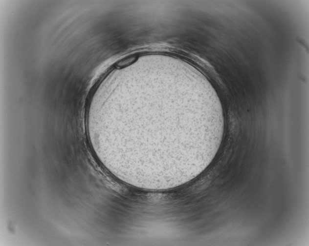 X0000101151176200807251041