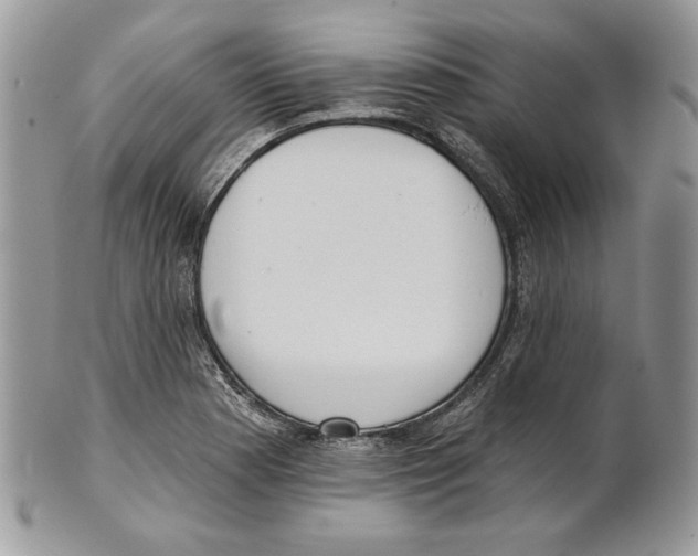 X0000101151177200807251041