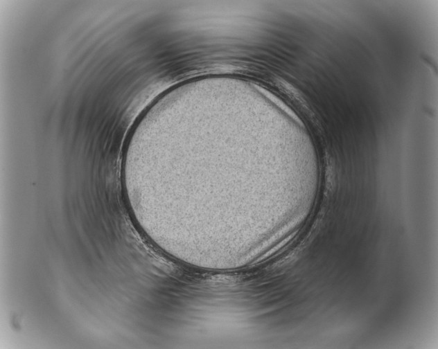 X0000101151178200807251041