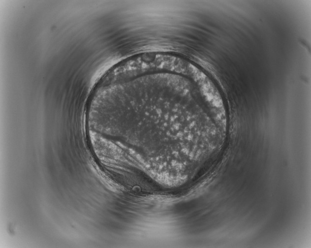 X0000101151179200807251041