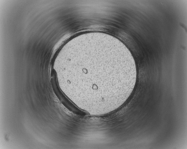 X0000101151180200807251041