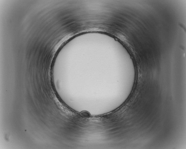 X0000101151181200807251041