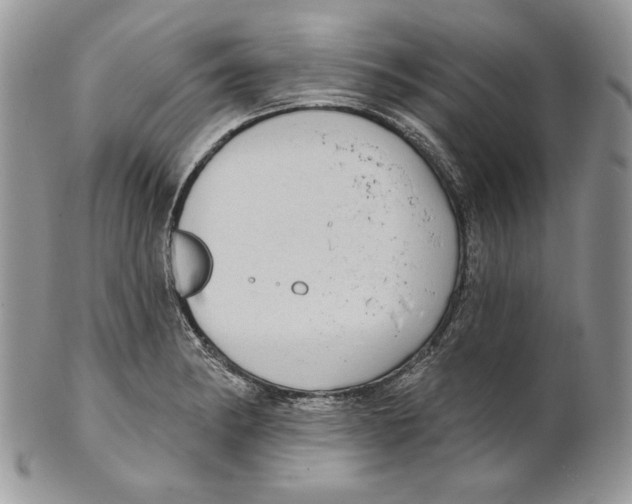 X0000101151182200807251041