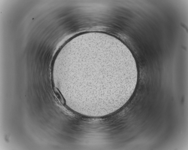 X0000101151184200807251041