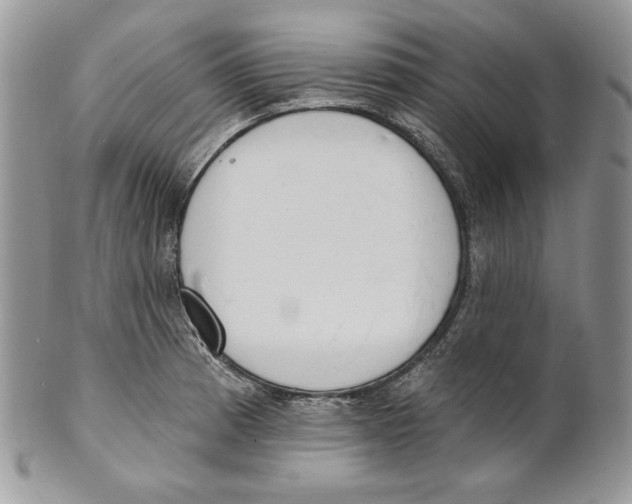 X0000101151185200807251041