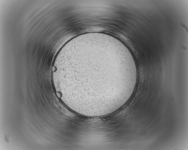 X0000101151186200807251041