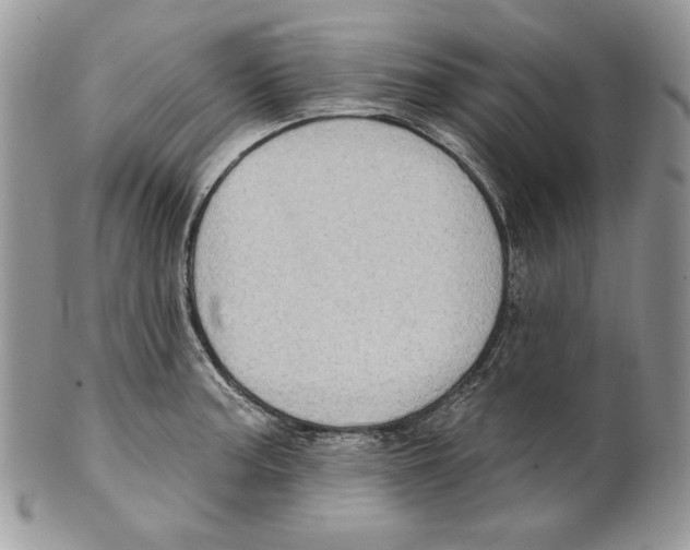 X0000101151187200807251041