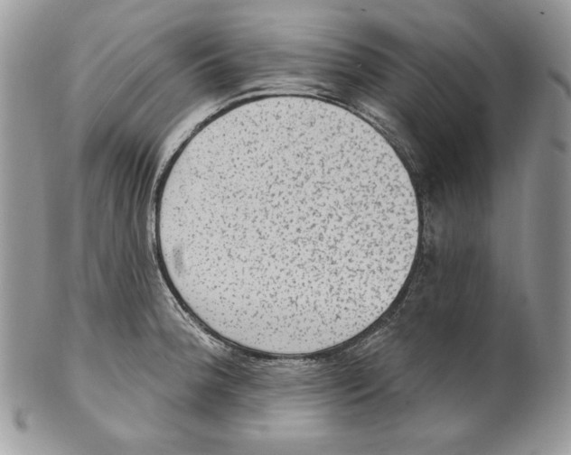 X0000101151188200807251041
