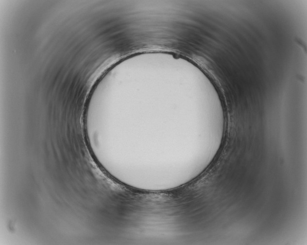 X0000101151189200807251041